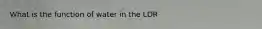 What is the function of water in the LDR