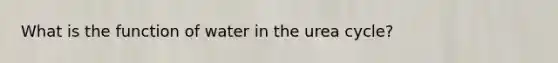 What is the function of water in the urea cycle?