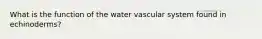 What is the function of the water vascular system found in echinoderms?