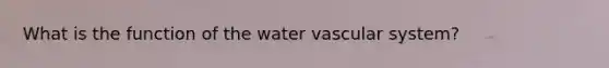 What is the function of the water vascular system?