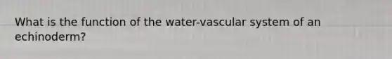 What is the function of the water-vascular system of an echinoderm?