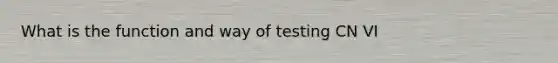 What is the function and way of testing CN VI