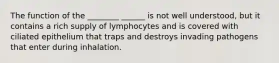 The function of the ________ ______ is not well understood, but it contains a rich supply of lymphocytes and is covered with ciliated epithelium that traps and destroys invading pathogens that enter during inhalation.