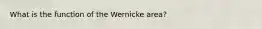 What is the function of the Wernicke area?