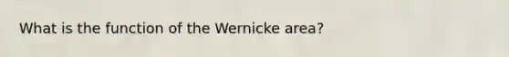 What is the function of the Wernicke area?