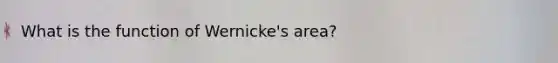 What is the function of Wernicke's area?