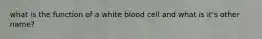 what is the function of a white blood cell and what is it's other name?