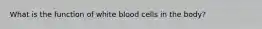 What is the function of white blood cells in the body?