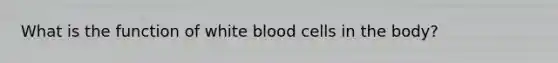 What is the function of white blood cells in the body?