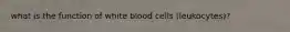 what is the function of white blood cells (leukocytes)?