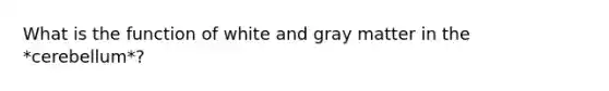 What is the function of white and gray matter in the *cerebellum*?