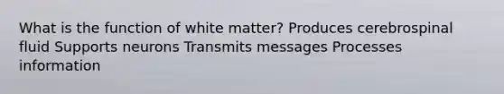 What is the function of white matter? Produces cerebrospinal fluid Supports neurons Transmits messages Processes information