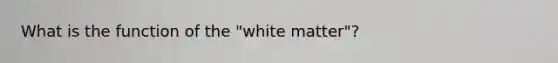 What is the function of the "white matter"?