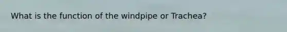 What is the function of the windpipe or Trachea?