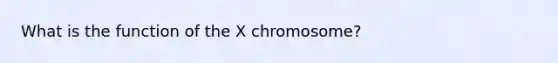 What is the function of the X chromosome?