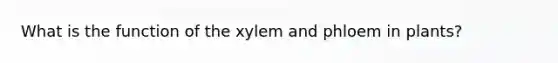 What is the function of the xylem and phloem in plants?