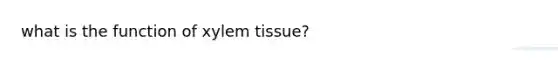 what is the function of xylem tissue?