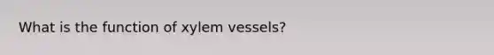 What is the function of xylem vessels?