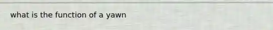 what is the function of a yawn