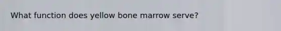 What function does yellow bone marrow serve?