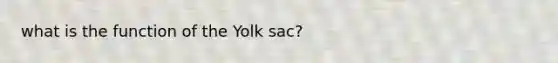 what is the function of the Yolk sac?