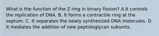 What is the function of the Z ring in binary fission? A.It controls the replication of DNA. B. It forms a contractile ring at the septum. C. It separates the newly synthesized DNA molecules. D. It mediates the addition of new peptidoglycan subunits.