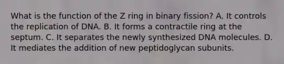 What is the function of the Z ring in binary fission? A. It controls the replication of DNA. B. It forms a contractile ring at the septum. C. It separates the newly synthesized DNA molecules. D. It mediates the addition of new peptidoglycan subunits.