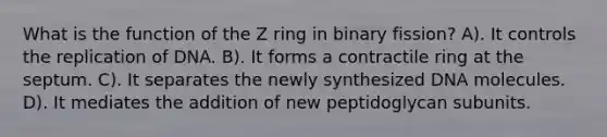 What is the function of the Z ring in binary fission? A). It controls the replication of DNA. B). It forms a contractile ring at the septum. C). It separates the newly synthesized DNA molecules. D). It mediates the addition of new peptidoglycan subunits.