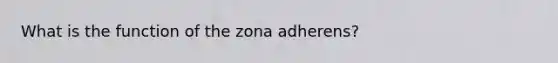 What is the function of the zona adherens?