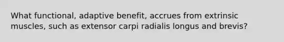 What functional, adaptive benefit, accrues from extrinsic muscles, such as extensor carpi radialis longus and brevis?