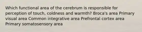 Which functional area of the cerebrum is responsible for perception of touch, coldness and warmth? Broca's area Primary visual area Common integrative area Prefrontal cortex area Primary somatosensory area