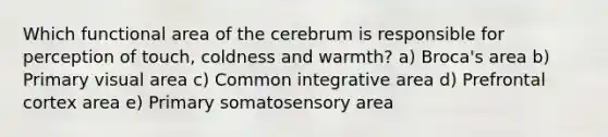 Which functional area of the cerebrum is responsible for perception of touch, coldness and warmth? a) Broca's area b) Primary visual area c) Common integrative area d) Prefrontal cortex area e) Primary somatosensory area