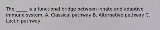 The _____ is a functional bridge between innate and adaptive immune system. A. Classical pathway B. Alternative pathway C. Lectin pathway