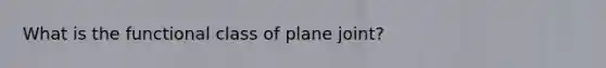 What is the functional class of plane joint?