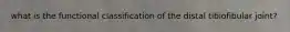 what is the functional classification of the distal tibiofibular joint?