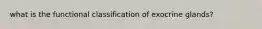 what is the functional classification of exocrine glands?