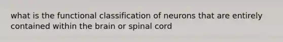 what is the functional classification of neurons that are entirely contained within the brain or spinal cord