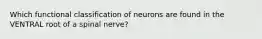 Which functional classification of neurons are found in the VENTRAL root of a spinal nerve?