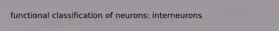 functional classification of neurons: interneurons