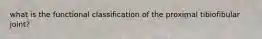 what is the functional classification of the proximal tibiofibular joint?