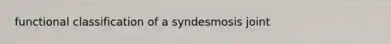 functional classification of a syndesmosis joint