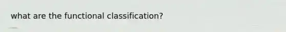 what are the functional classification?