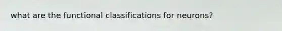 what are the functional classifications for neurons?