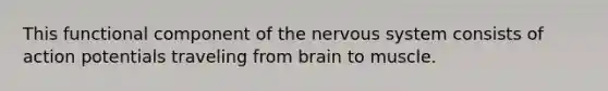 This functional component of the nervous system consists of action potentials traveling from brain to muscle.