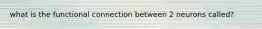 what is the functional connection between 2 neurons called?