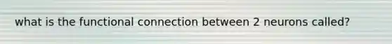 what is the functional connection between 2 neurons called?