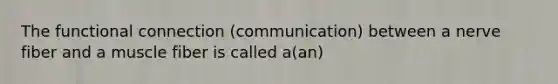 The functional connection (communication) between a nerve fiber and a muscle fiber is called a(an)