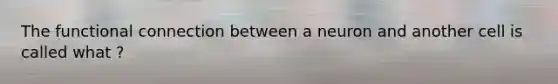 The functional connection between a neuron and another cell is called what ?