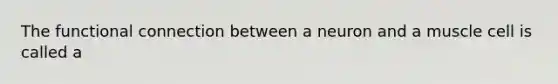 The functional connection between a neuron and a muscle cell is called a