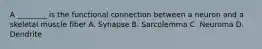 A ________ is the functional connection between a neuron and a skeletal muscle fiber A. Synapse B. Sarcolemma C. Neuroma D. Dendrite
